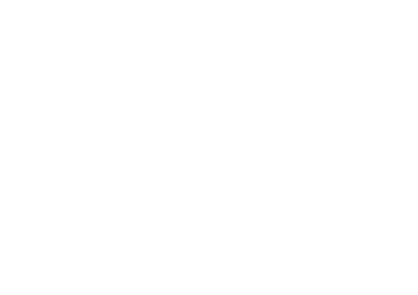 AVS Promosyon